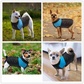 🐕Winter Warm Waterproof Dog Vest with Zipper (Size S-5XL)✨