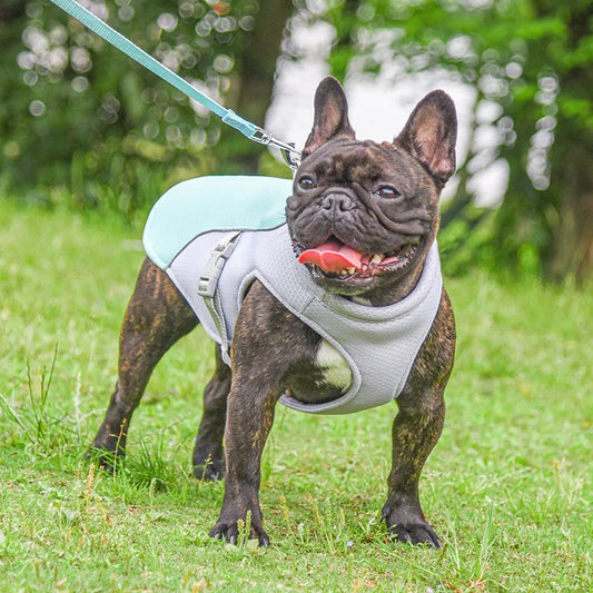 🔥BUY 2 GET 10% OFF💝2024 Summer Ice Cooling Dog Protective Vest🐕