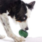 🎉Hot Sale✨Treat Dispensing Dog Toy
